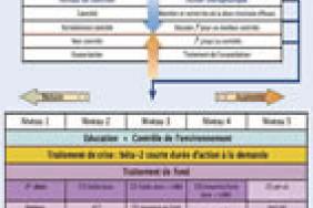 Traitement De L Asthme De L Enfant Vers Un Meilleur Controle Pediatrie Pratique