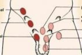Bebe 2 Ans Testicule Non Descendu Bebe 2 Ans Testicule Non Descendu