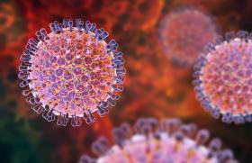 Vaccin rotavirus : vers une prise en charge par l’Assurance maladie