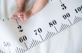 Hypospadias Que Faire Que Proposer Pediatrie Pratique Hypospadias Que Faire Que Proposer Pediatrie Pratique