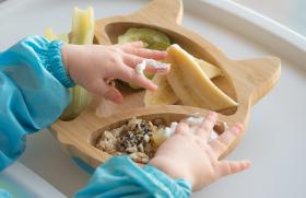Erreurs nutritionnelles : cas pratiques 