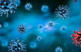 Refus vaccinal