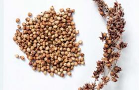 allergène