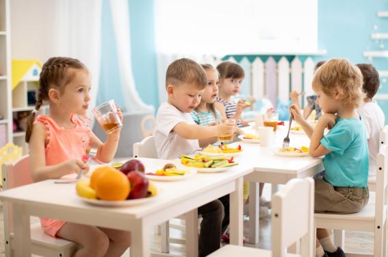 Carences nutritionnelles chez l’enfant