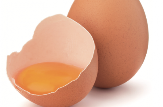 Allergie à l’œuf de poule en pratique de ville